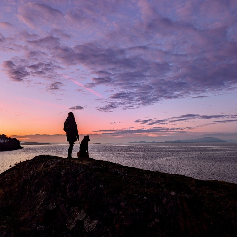 A dark outline of a person standing beside a dog who is sitting. They are both standing on a rock cliff looking out at a large body of water during a sunset.